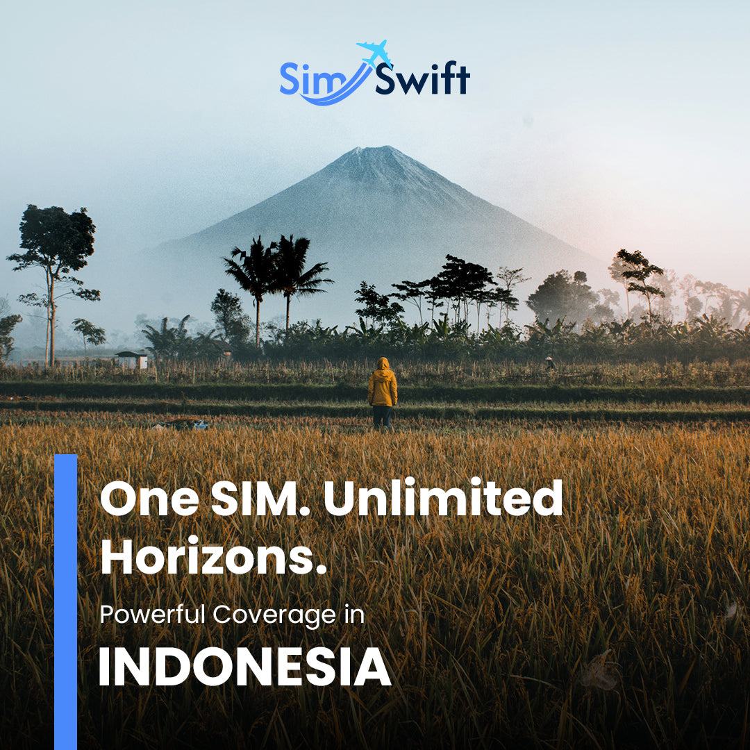 شريحة e-SIM الإندونيسية - الخطة اليومية