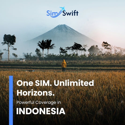 Indonesia e-SIM - Daily Plan