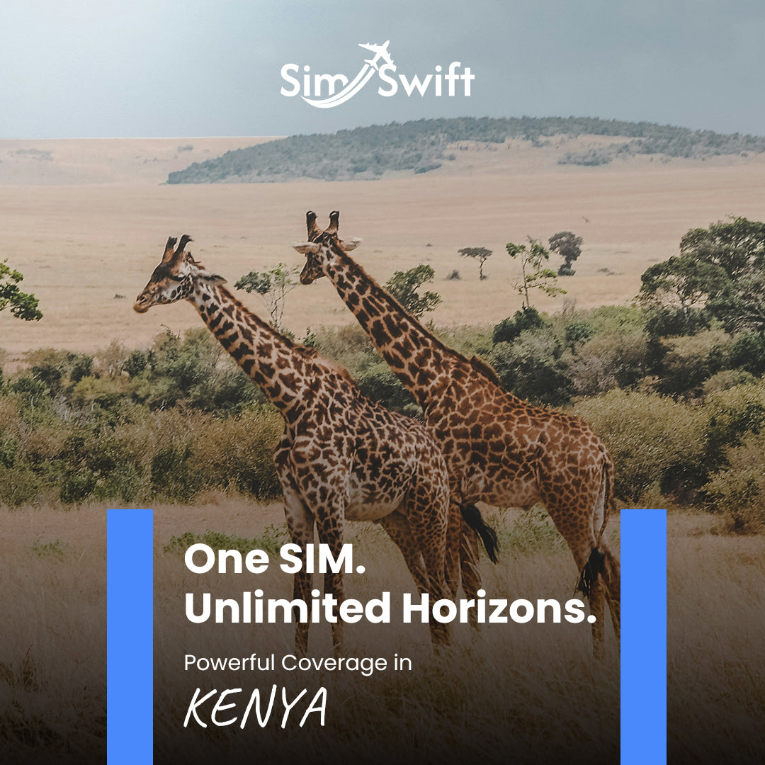 ケニア e-SIM - デイリープラン