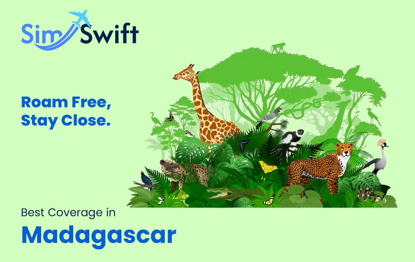 Madagascar e-SIM Top-ups