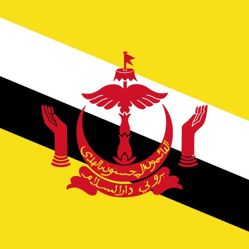 Brunei e-SIM