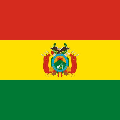 Bolivia e-SIM