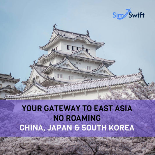 China, Japan, South Korea e-SIM - Daily Plan