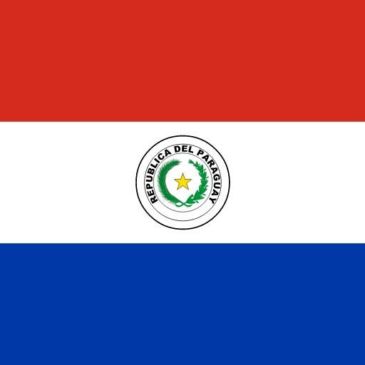 Paraguay e-SIM - Daily Plan