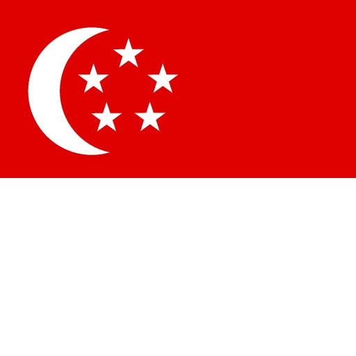 Singapore e-SIM - Daily Plan
