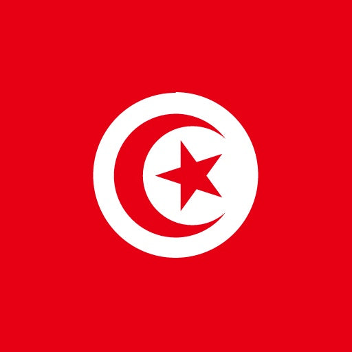 Tunisia e-SIM - Daily Plan